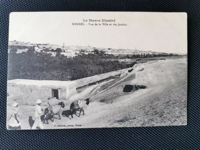 CPA MEKNES - Vue de la Ville et des Jardins