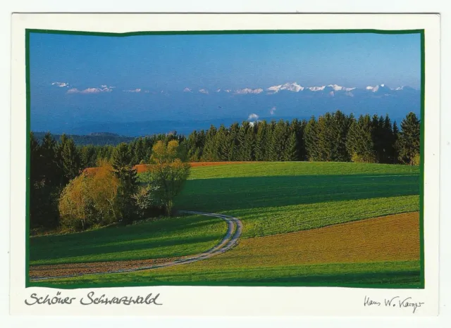 Schwarzwald Germany, Vintage Postcard, Alps View from Höchenschwand