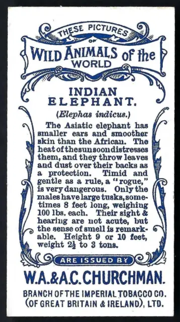 Churchman - Wild Animals Of The World - Indian Elephant 2