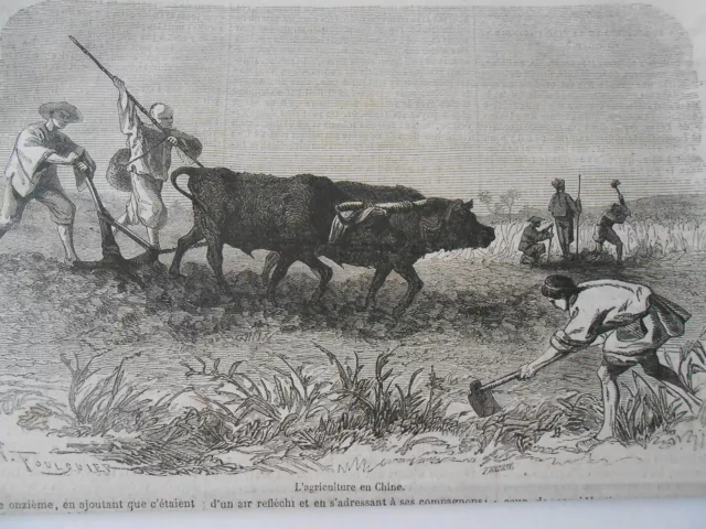 Gravure 1857 - L'agriculture en Chine