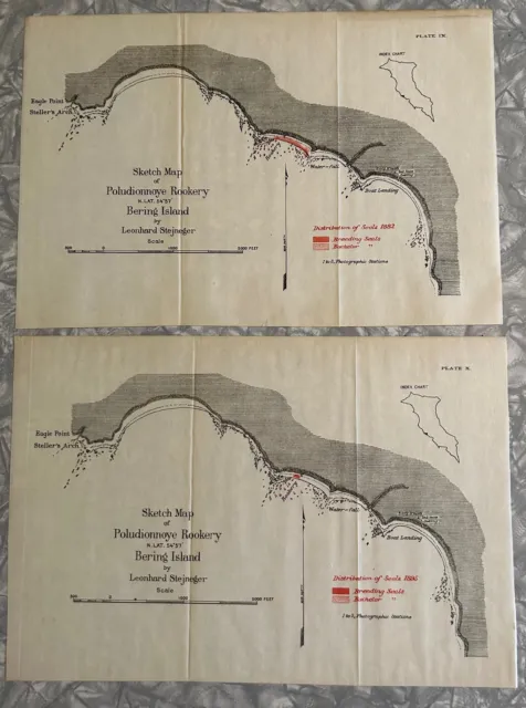 1882 1895 Fur Seal Habitat Maps Poludionnoye Rookery Bering Island Alaska 9 X 13