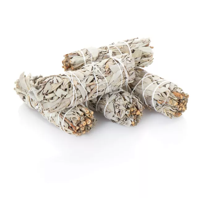 L Weißer Salbei Smudge Sticks 10cm 4" Salvia Apaina 30g Räucherbündel