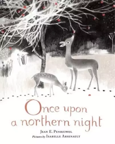 Jean E Pendziwol Once Upon a Northern Night (Hardback)