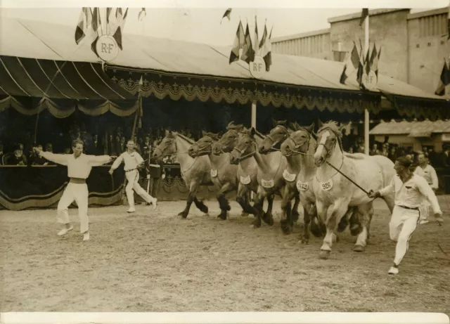 "Mr DOUMER : Concours central hippique 1931" Photo originale G. DEVRED /Agce ROL