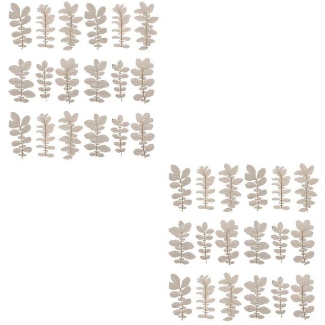 6 packs de vena seca planta hojas artesanales