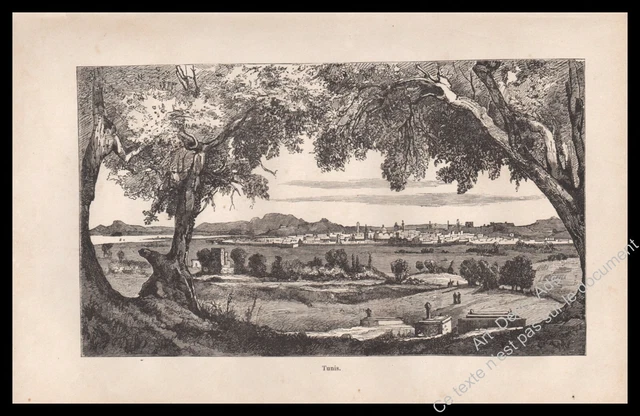 TUNISIE VUE GENERALE DE TUNIS Gravure Engraving 1868