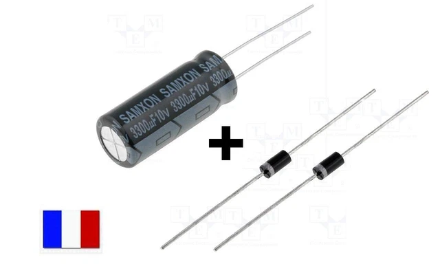 Kit de reparation  2 Diodes SB260 SR260 3300µF 10v DPS-28-CP-2A DPS-298-CP-4A