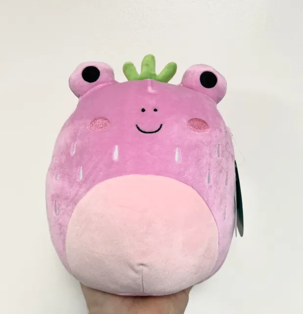 https://www.picclickimg.com/ydkAAOSw7~hlqEFE/8-Squishmallow-Adabelle-the-Strawberry-Frog-Kellytoys-plush.webp