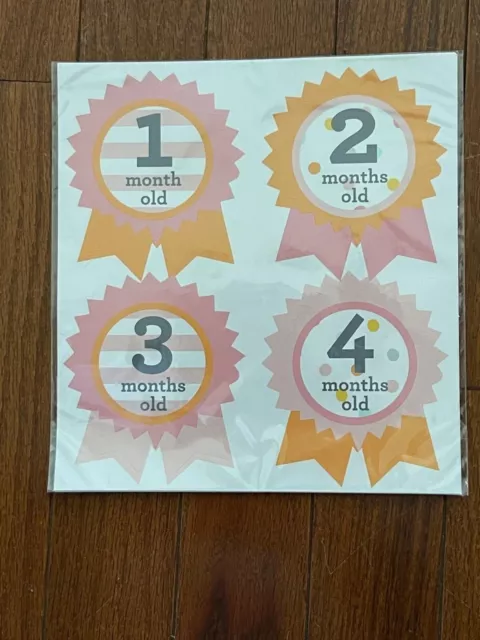New Gymboree Girl Pink Age Month Milestone Stickers 1 to 12 months New in Pkg