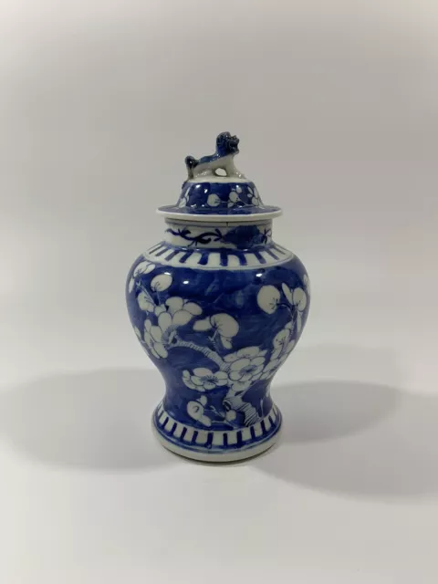 Antique 19th C Qing Chinese Kangxi Marked Blue & White Prunus Vase  & Cover 22cm