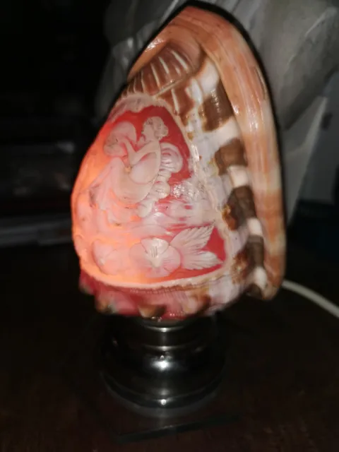 Lampe Veilleuse Coquillage vintage