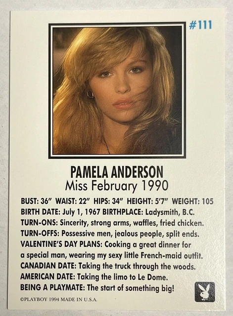 Playboy Playmate Profile Collection Miss June 1997 19 - vrogue.co