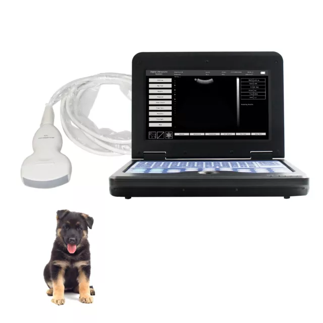 Portable VET Veterinary Ultrasound Scanner Laptop Machine +Convex probe Dog/Cat