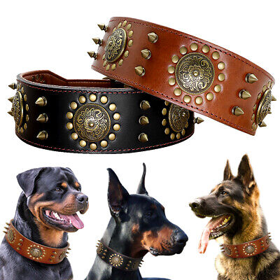 Genuine Leather Padded Dog Collar Heavy Duty Adjustable with Retro Studded L-XL