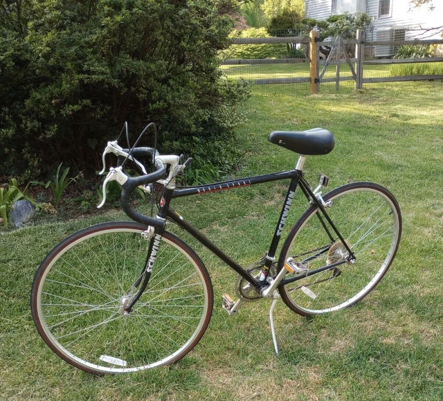 1985 schwinn world hotsell