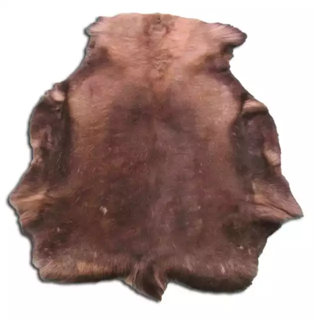 Reindeer Skin from Scandinavia Size: 46" X 37" Reindeer Skin Ships from the USA