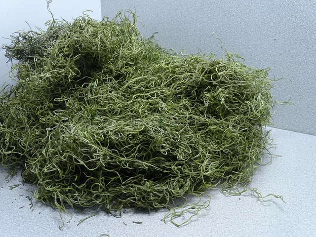 49,50€/1Kg Dschungelmoos grün Apfelgrün Deko Moos Floristik Basteln Packung 100g