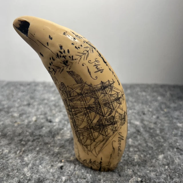 Sperm whale tooth scrimshaw replica "SHIP MERCATOR"