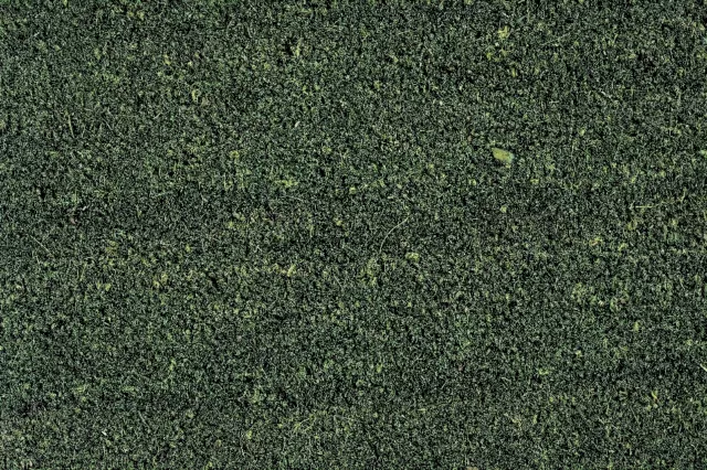 Top Quality 17mm thick Green Coconut PVC backed heavy duty coir matting