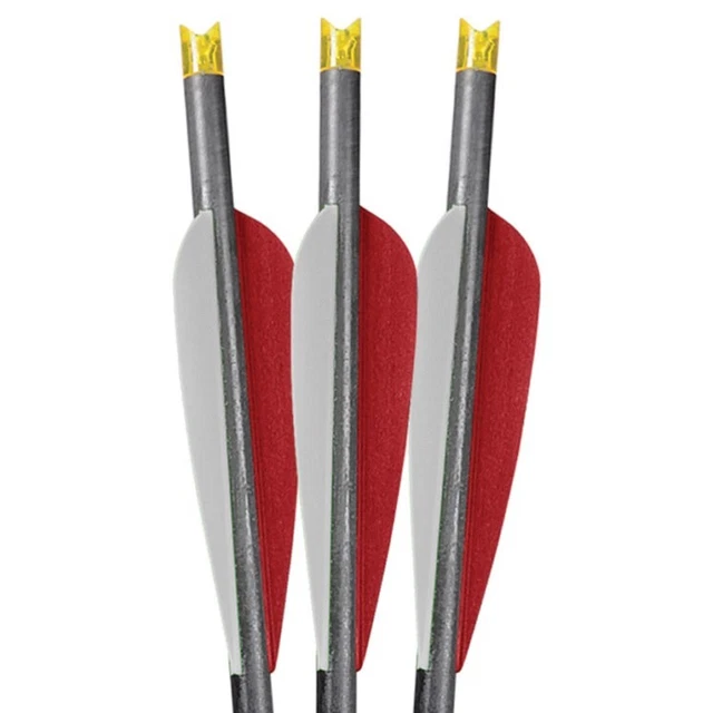 Barnett Headhunter 20" Bolt Orange Lumenok Crescent Nock Crossbow Arrows 3-Pack