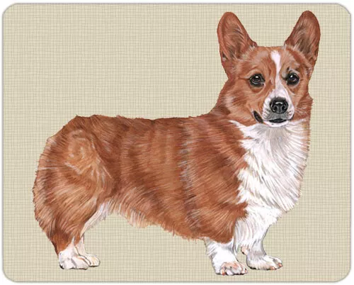 Corgi Welsh Pembroke Cutting Board Tempered Glass 8" x 10"