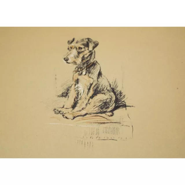 Lucy Dawson 1937 Lakeland Terrier Dog Print 90515 Trig