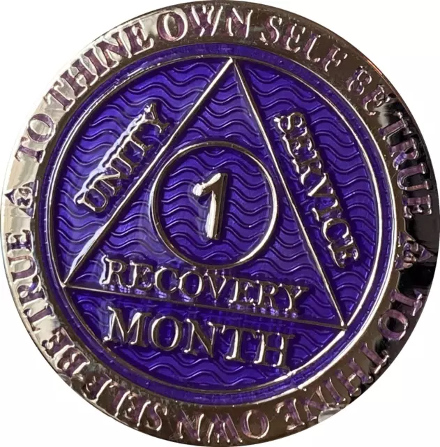 1 MONTH AA Medallion Reflex Purple Silver Plated Chip $29.47 - PicClick