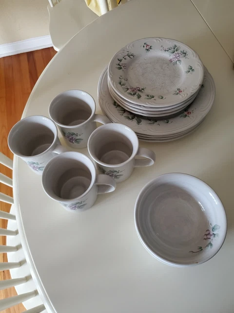 Pfaltzgraff Grapevine Dish Set 20 pc Pfaltzgraff Grapevine Dish Set 20 pc