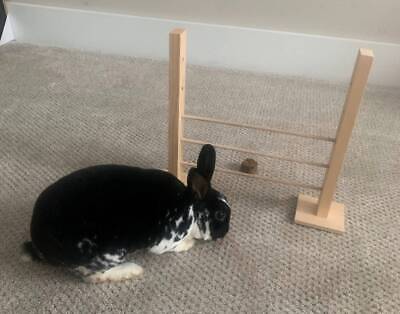 Juguete de salto, agilidad, salto y masticación Bunny Rabbit