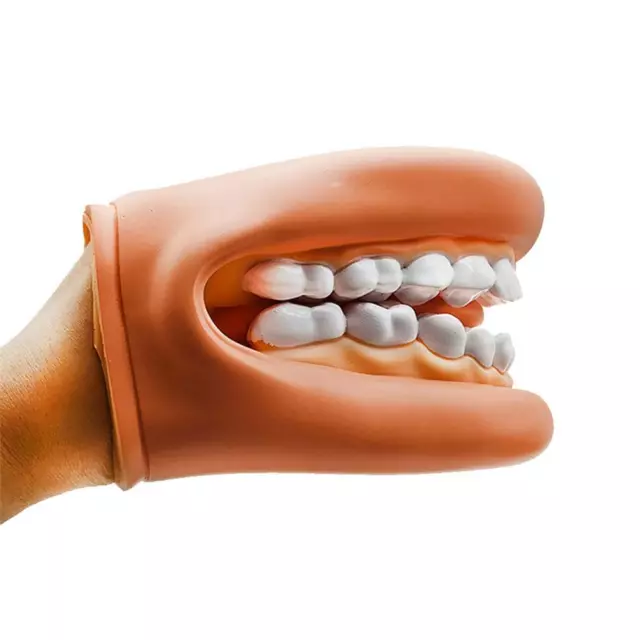Wearable Dentist Teeth Model,Study Standard Model Demonstration for Dental  G3O6
