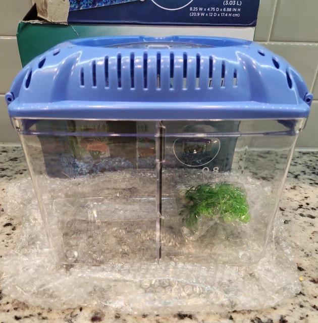 Betta Fish Dual Habitat Aquarium Imagitarium Betta Tank Appears Never Used