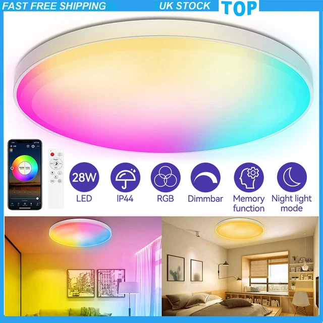 Ceiling Light Color RGB LED SMART Ceiling Light Color Changing Light for Bedroom/Kid's Room ...