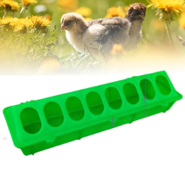 Mangeoire Automatique Pour Volaille CIYODO - Lot De 4, Alimentateur Extérieur Durable Pour Poules, Poussins, Oiseaux