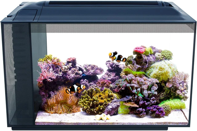 Fluval 10531A1 SEA EVO XII Aquarium Kit, 13.5 gal