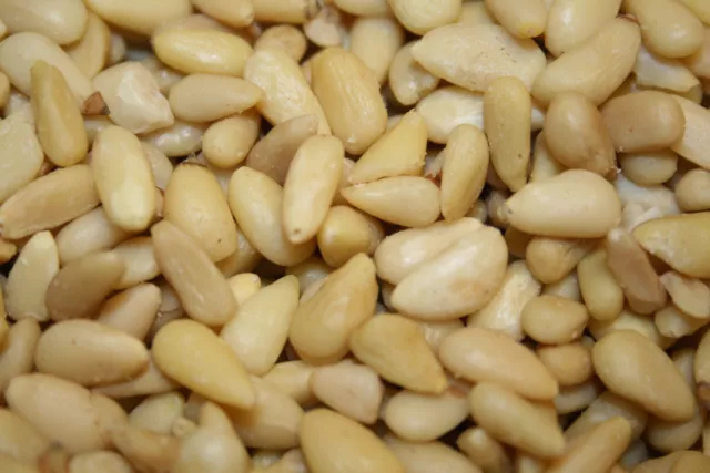 Pine Nuts/Pignolias, 5Lbs