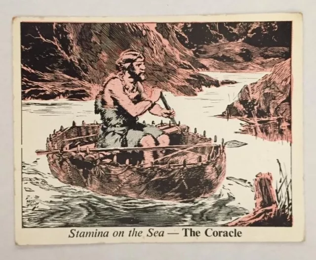 Stamina on the Sea Collector Card #3 The Coracle - Series 19 - Excellent Cond