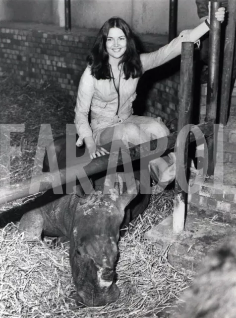 Photo de presse vintage Animaux Whipsnade Rhinocéros Avec Yasmine Smart tirage