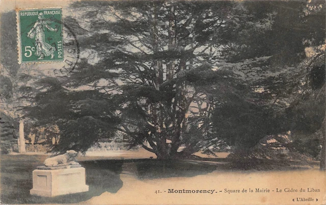 CPA-Montmorency square de la mairie le cèdre du Liban (126419)