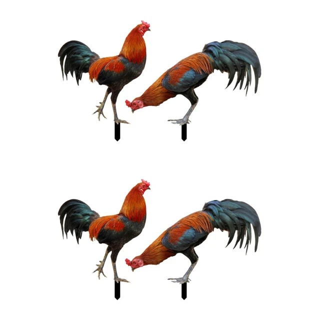 4 Pcs yard chicken decorations Yard Acrylic Chicken Art Lifelike Animal Stake Ch
