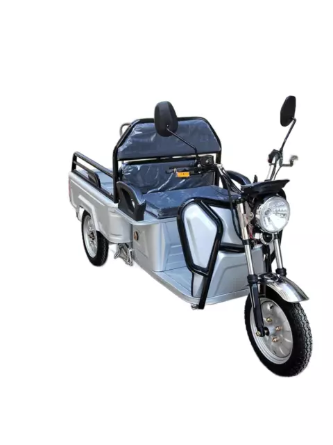 VOLTA VT5 MINI Elektro Lastendreirad 25 Km/h Cargo Transporter ...