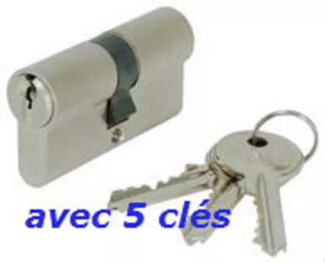 Cylindre Serrure Europeen 30/30 Avec 5 Cles