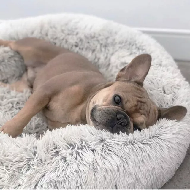 Plush Dog Bed for Calming Pet Sleep: Soft Cushion Kennel For Cats And Dogs.