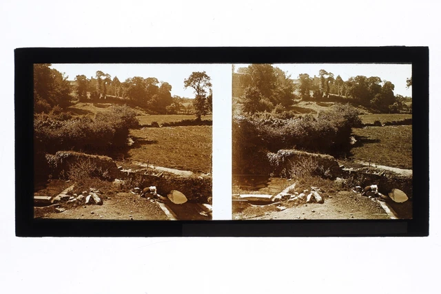 Lavandière Normandie ? France Photo Stereo Plaque de verre 