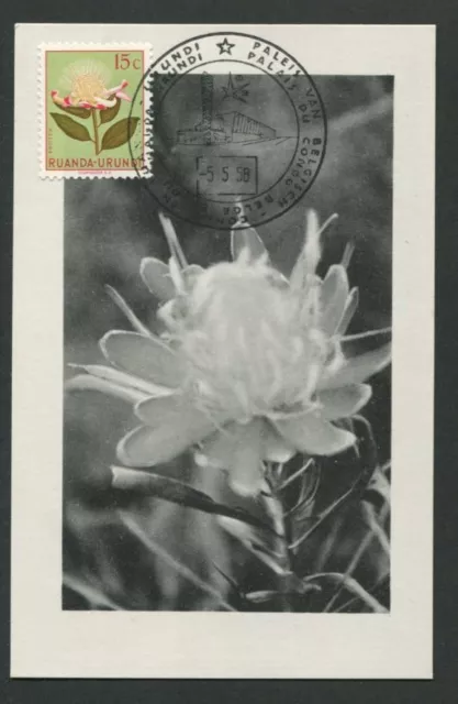 RUANDA-URUNDI MK 1958 FLORA PROTEA MAXIMUMKARTE CARTE MAXIMUM CARD MC CM d7848