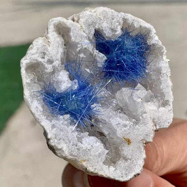 69G Rare Moroccan blue magnesite and quartz crystal coexisting specimen