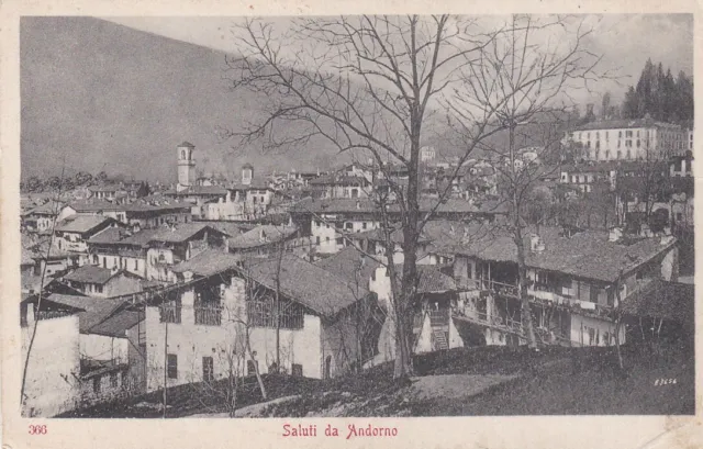 Biella - Saluti da Andorno - fp vg 1911