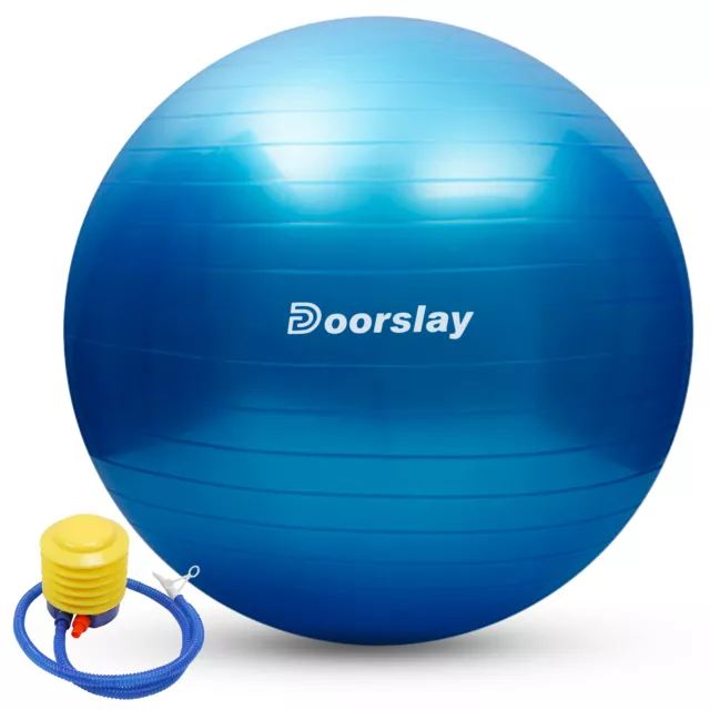 -burst Yoga Ball 55cm/65cm/75cm Stability  Ball Pilates Barre D3O5