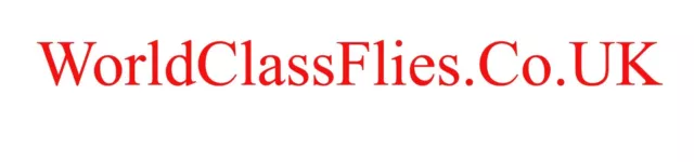 worldclassflies.co.uk Domain Name Top domain Name for Fly Manufacturer / Seller
