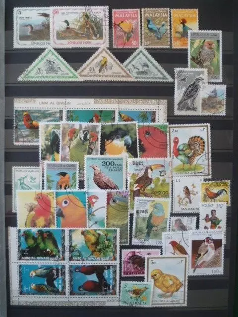 Lot Timbres  Oiseaux