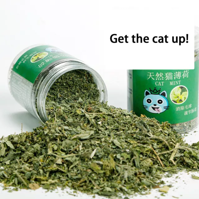 Dried Cat Nip Leaves Natural Cat Nips Used For Cat Play 20g Organic